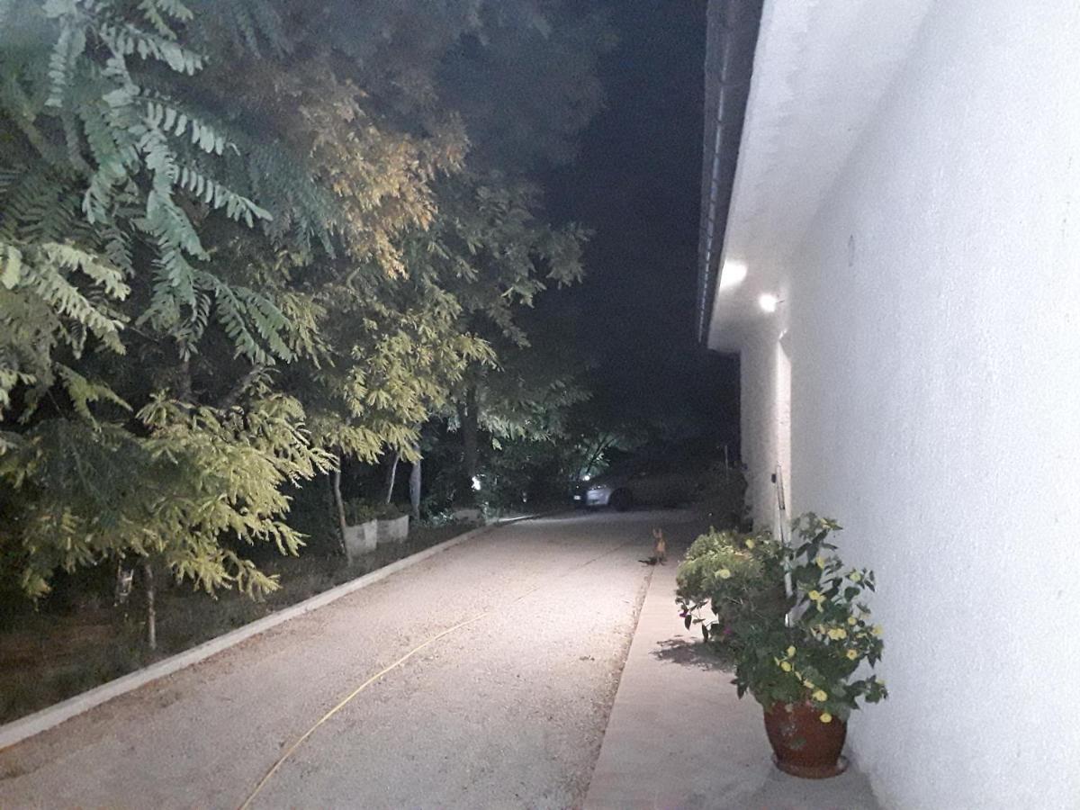 La Casa Nel Verde Larino Bagian luar foto