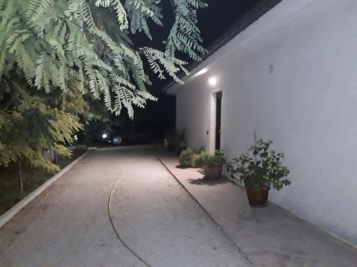 La Casa Nel Verde Larino Bagian luar foto