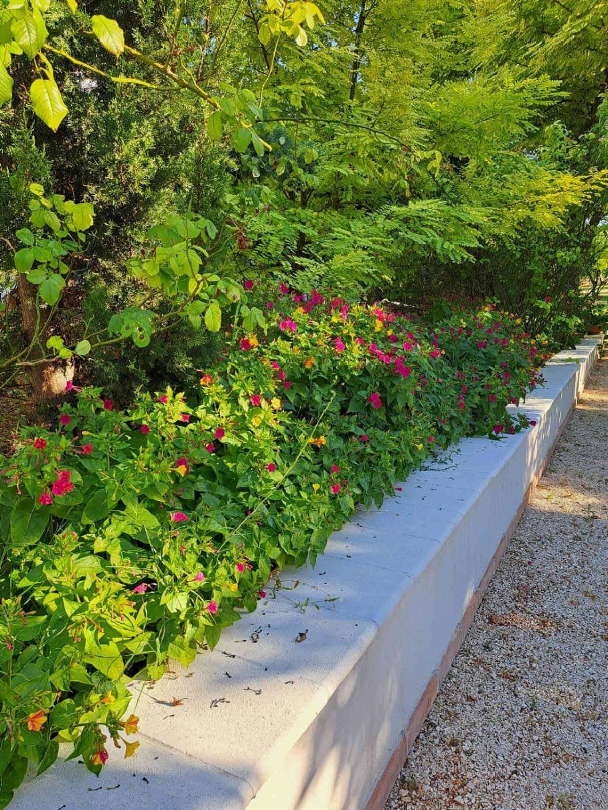 La Casa Nel Verde Larino Bagian luar foto