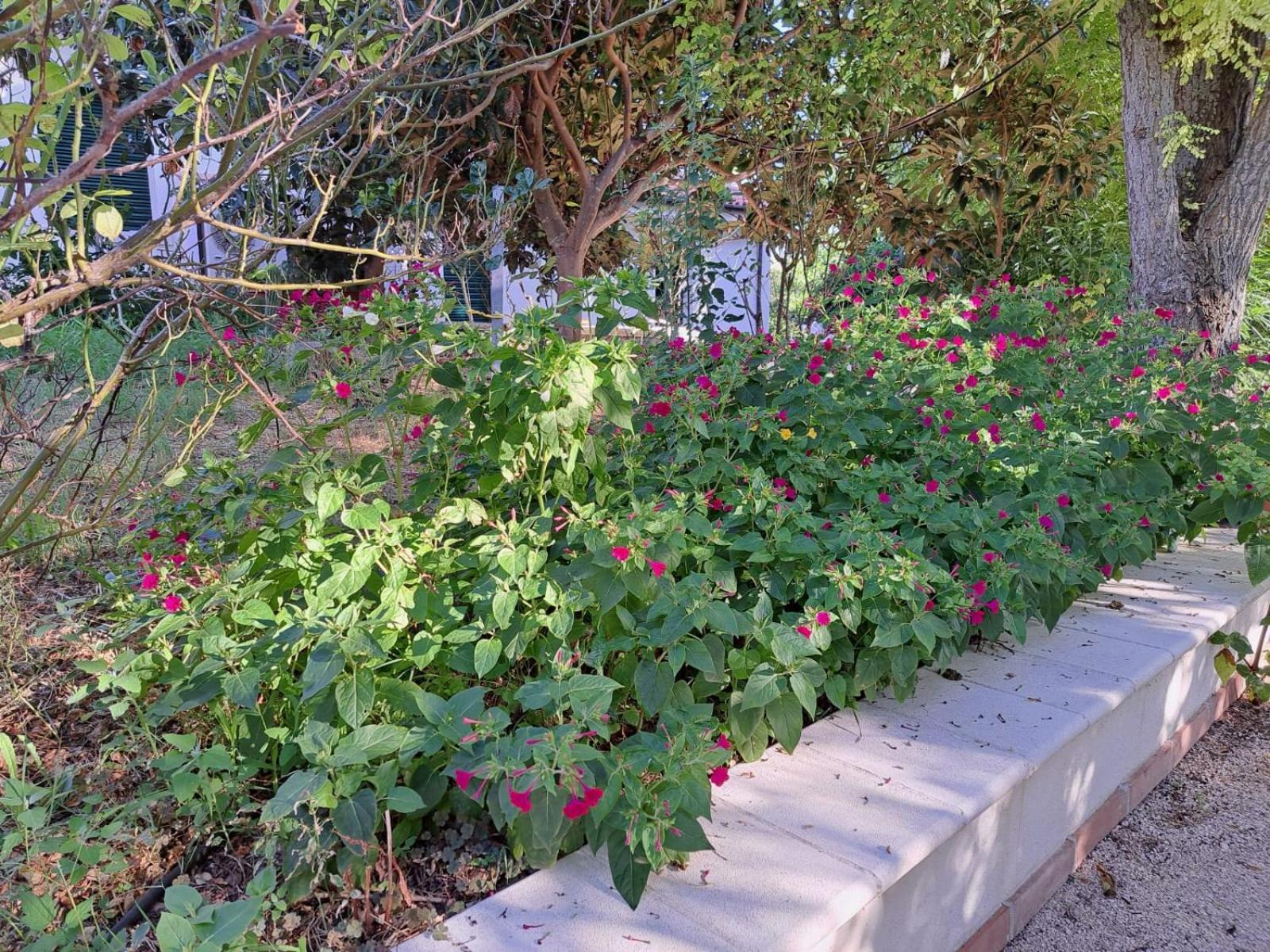 La Casa Nel Verde Larino Bagian luar foto