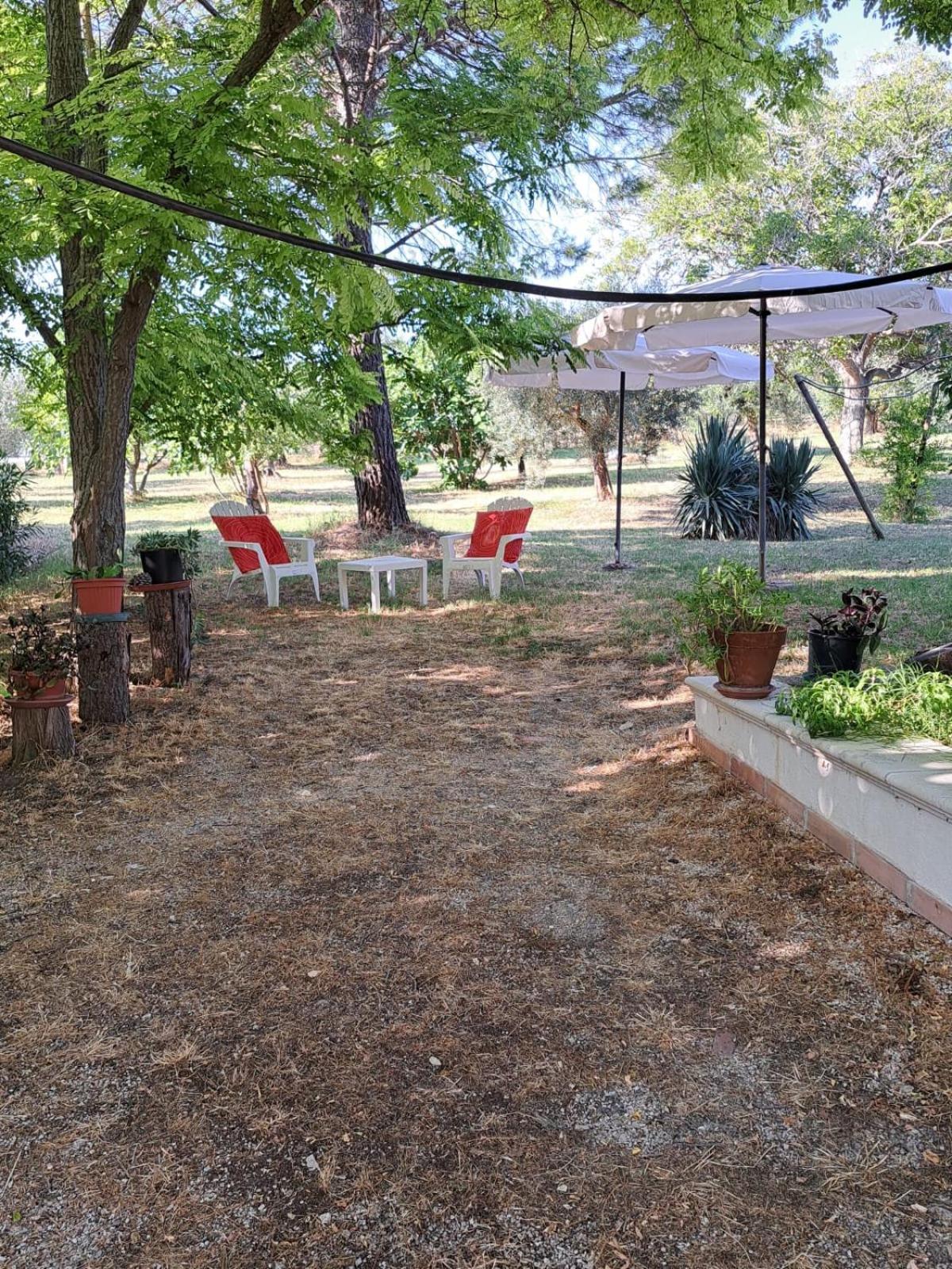 La Casa Nel Verde Larino Bagian luar foto